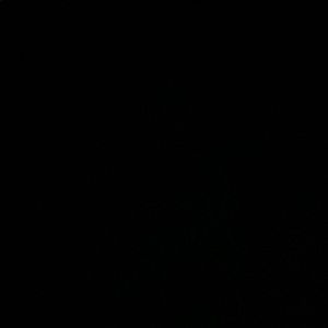 Meet your Posher, Samii